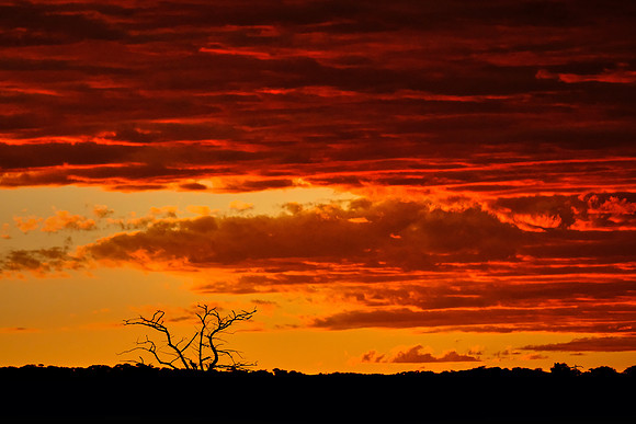 Sunset over  Etosha National Park, northwest Namibia