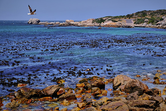 On the road to the Cape of Good Hope, South Africa