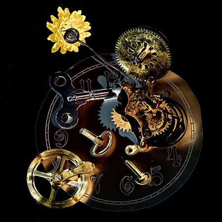 Clocks & Flowers
