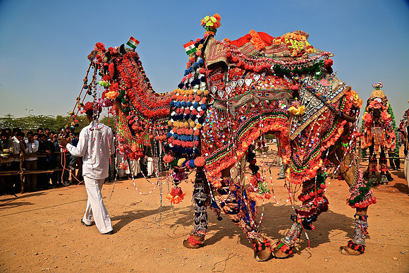 Nagaur Camel and Livestock Fair, Nagaur, Rajasthan