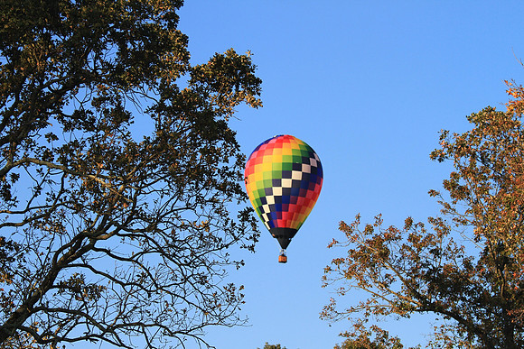 Carolina Balloon Fest, Statesville, NC
