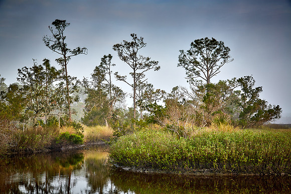 Bulow Creek, Ormond Beach, FL