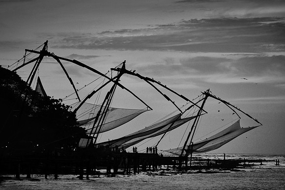 Chinese fishing nets at sunset, Kochi, India.