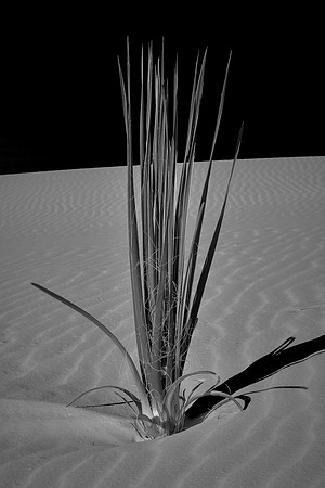 Sunrise over White Sands National Monument, New Mexico
