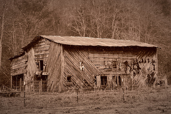 Barns and Houses of Madison County, NC