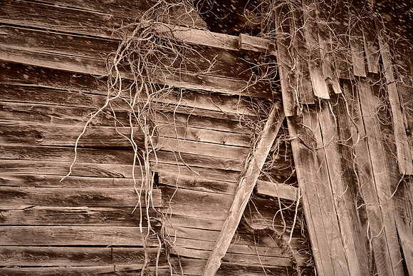 Barns and Houses of Madison County, NC (in a snowstorm)