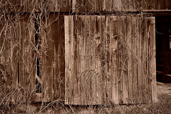 Barns and Houses of Madison County, NC