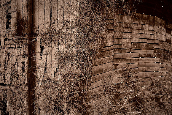 Barns and Houses of Madison County, NC