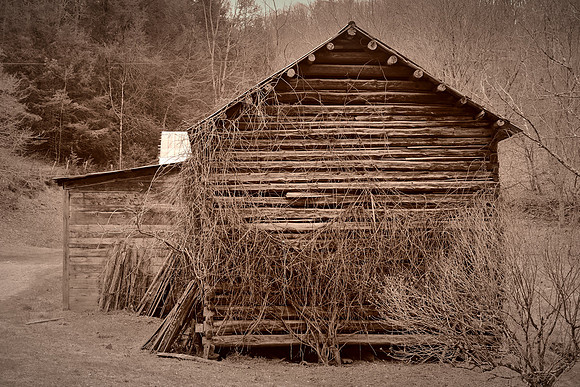 Barns and Houses of Madison County, NC