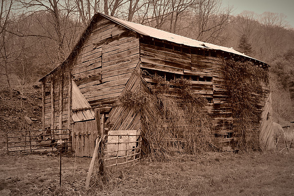 Barns and Houses of Madison County, NC