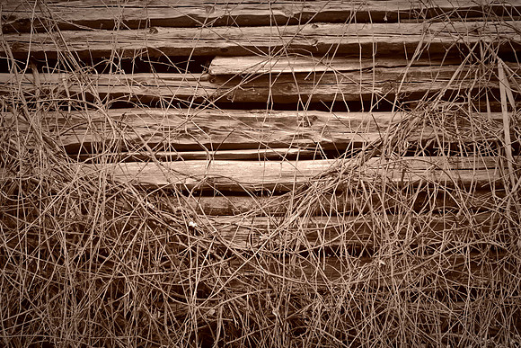 Barns and Houses of Madison County, NC