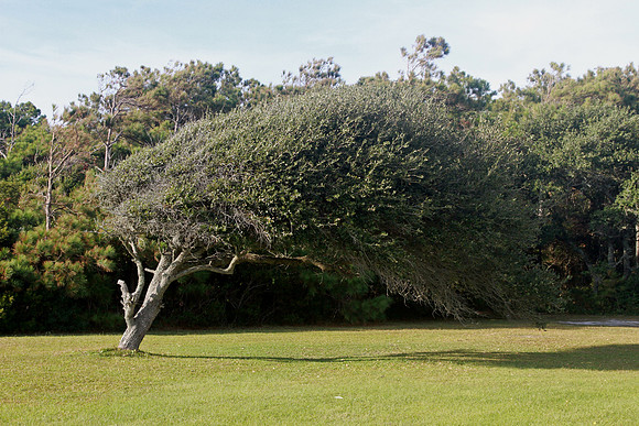 Beaufort, NC