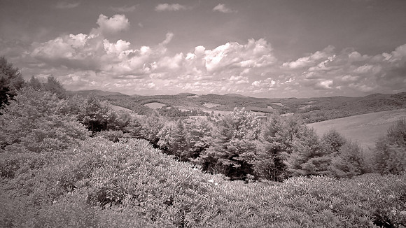 Blue Ridge Parkway in Infrared, NC