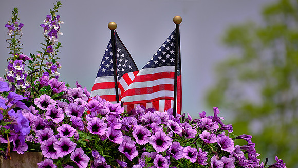 Blowing Rock Garden Club