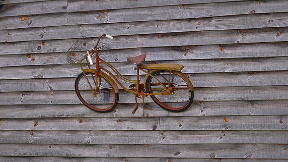 Mast General Store