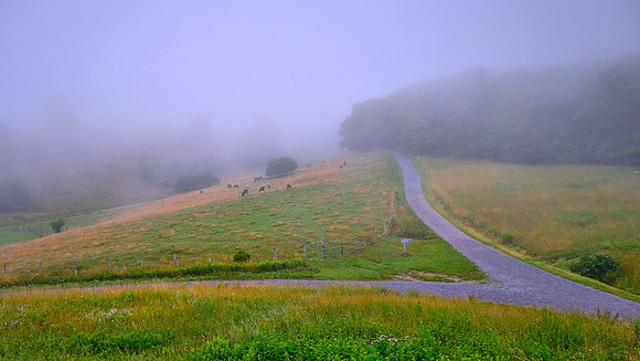 Foggy morning, Blue Ridge Parkway