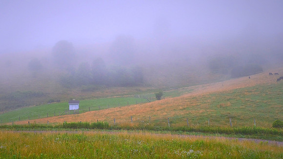 Foggy morning, Blue Ridge Parkway
