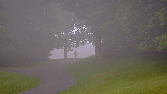 Foggy morning, Blue Ridge Parkway