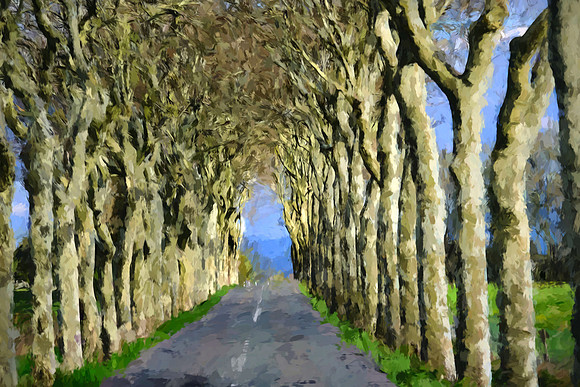 On the road to Carcassonne, France