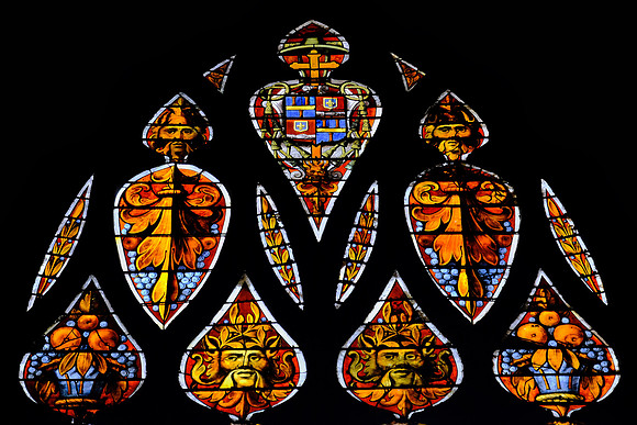 Basilique Cathédrale Sainte-Marie d'Auch, Auch, France