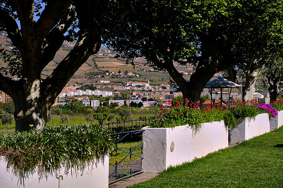 Pacheca winery, Douro Valley, Portugal