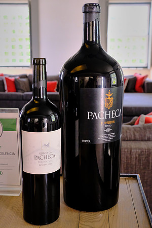 Pacheca winery, Douro Valley, Portugal