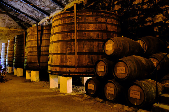 Pacheca winery, Douro Valley, Portugal