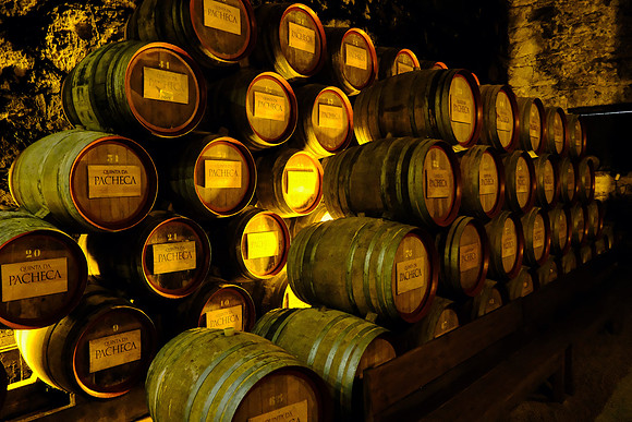 Pacheca winery, Douro Valley, Portugal
