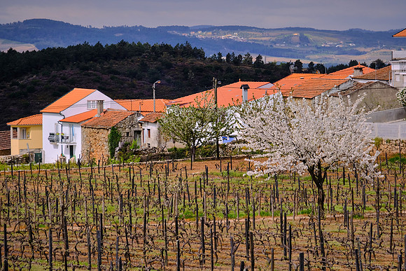 Favaios, Portugal