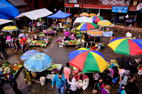Angelmo Fish Market, Puerto Montt, Chile