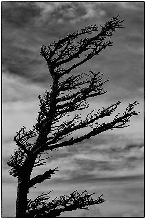 Grandfather Mountain, North Carolina