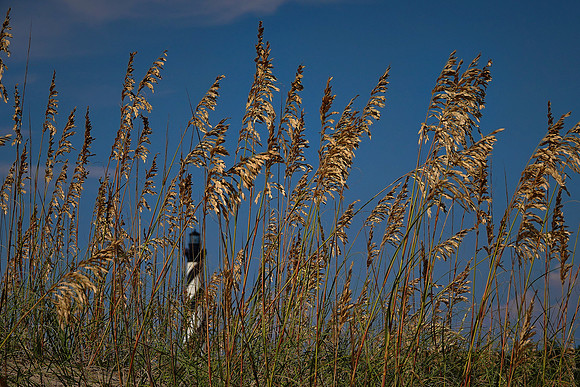 Cape Hatteras Lighthouse, Outer Banks, North Carolina