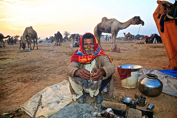 Nagaur Camel and Livestock Fair, Nagaur, Rajasthan