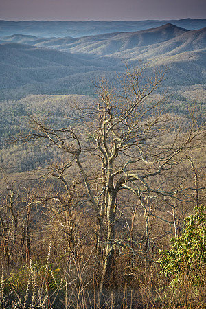 Blue Ridge Parkway, NC