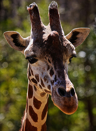 2014 March - Columbia SC Zoo