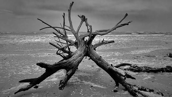 Botany Bay, Edisto Island, SC
