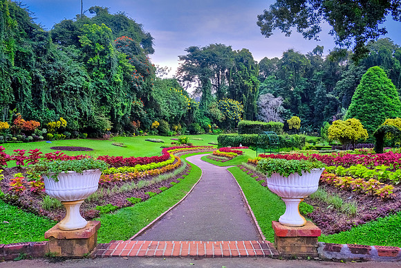 Royal Botanic Gardens at Peradeniya, Kandy, Sri Lanka
