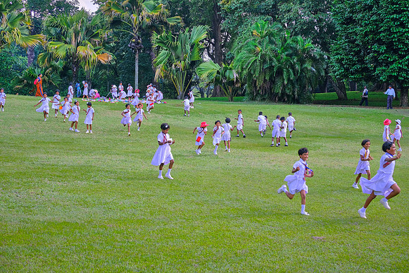 School-girl outing at the Royal Botanic Gardens at Peradeniya, Kandy, Sri Lanka