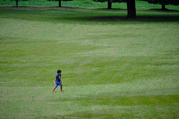 Lone ranger at the Royal Botanic Gardens at Peradeniya, Kandy, Sri Lanka