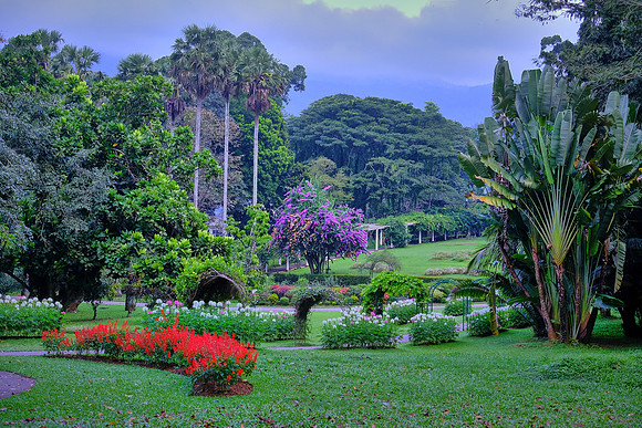 Royal Botanic Gardens at Peradeniya, Kandy, Sri Lanka