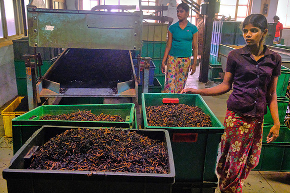 Tea production is a hot, dirty job.