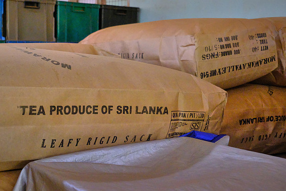 Today it takes 25 pairs of hands, from beginning to end, to provide one cup of tea.  Sri Lanka is the world's fourth-largest producer of tea.