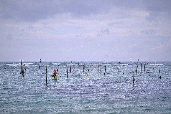 The tradition of stilt fishing in Sri Lanka is dying rapidly.