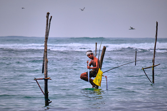 Fisherman catches a gar-like fish. The practice started during World War II when food shortages and overcrowded fishing spots prompted some to fish on the water.