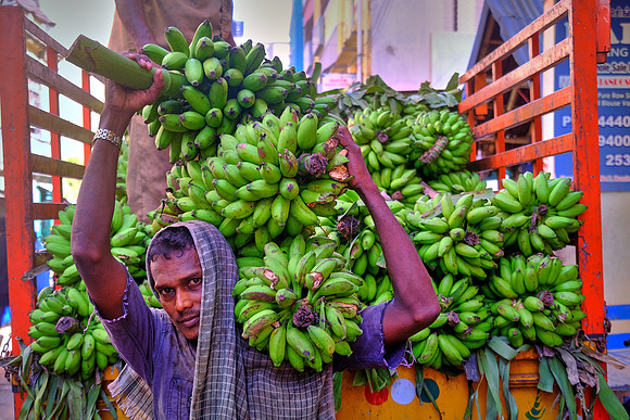 Bananas are ubiquitious.