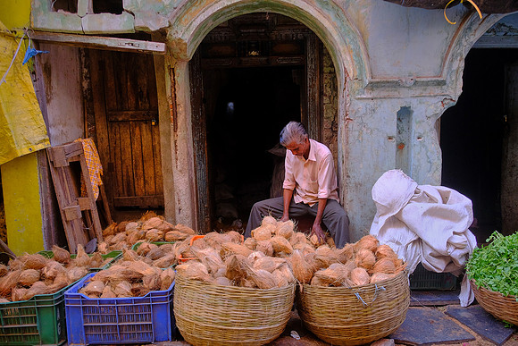 Coconuts are a staple.