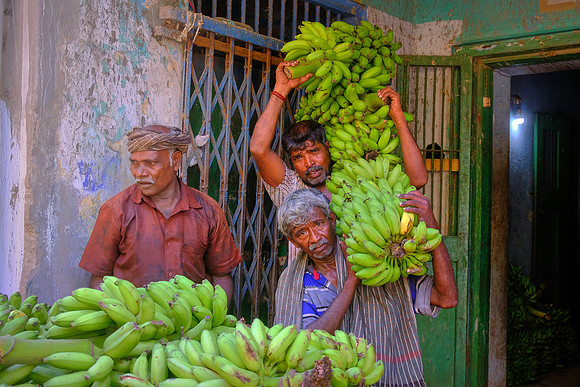 Yes! We have no bananas.