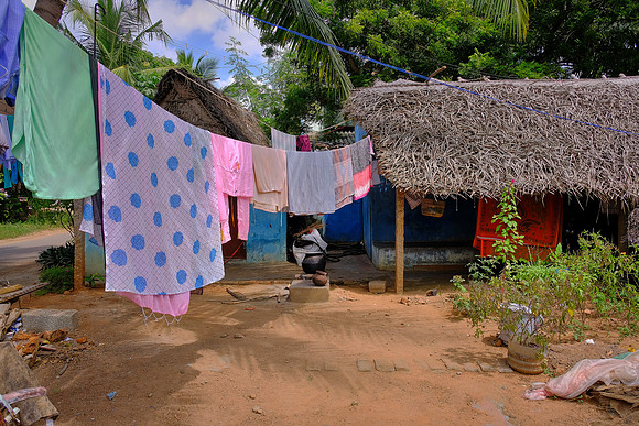 A day in the life of an Indian farming village.