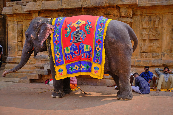 Prayer elephant at Brihadishvara Temple.