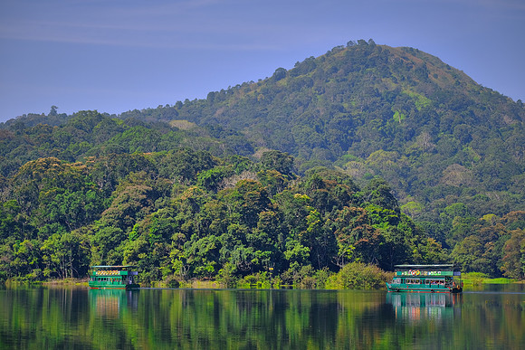 Periyar Wildlife Sanctuary, Thekkady, Kerala, India.